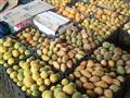 ركود في أسواق الفاكهة بالإسكندرية بعد غلاء الأسعار (7)                                                                                                                                                  