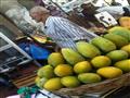 ركود في أسواق الفاكهة بالإسكندرية بعد غلاء الأسعار (3)                                                                                                                                                  