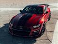 فورد Mustang Shelby GT500