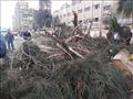 سقوط شجرة أمام مستشفى الصدر بالمحلة بسبب الرياح (4)
