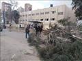 سقوط شجرة أمام مستشفى الصدر بالمحلة بسبب الرياح (3)