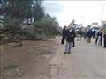 سقوط شجرة أمام مستشفى الصدر بالمحلة بسبب الرياح (2)