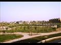 الحديقة المركزية بالشيخ زايد  (1)