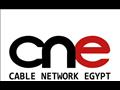 الشركة المصرية للقنوات الفضائية CNE