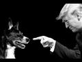 كيف كشف كلب مطاردة البغدادي نفاق ترامب