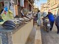 سوق الفسيخ بطنطا