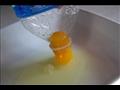 فصل صفار البيض باستخدام زجاجة بلاستيكية فارغة فقط قم بالضغط على الزجاجة، ضع الفتحة على الصفار  