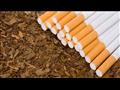 المشرعون في ولاية ماساشوسيتس يحظرون كل أنواع التبغ