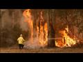 حرائق الغابات في أنحاء أستراليا