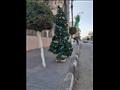 وضع شجرة كريسماس أمام كنيسة الكاتدرال في بورسعيد