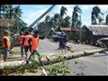 عمال يزيلون شجرة وعامود كهرباء سقطا إثر إعصار فانف