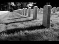 3-veteran-day-sf-presidio-national-cemetery