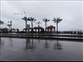 هطول أمطار متوسطة على الإسكندرية (5)