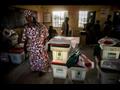 انتخابات تشريعية ورئاسية في نيجيريا