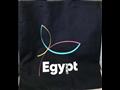 المشروعات العقارية المصرية (2)