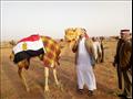 مشاركة قبائل جنوب سيناء في سباق الهجن بالرياض  (6)