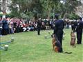 أكاديمية الشرطة تستعرض مهارات كلاب الحراسة  (1)