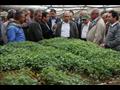 زيارة الوزير لمحطة بحوث الخضر بمدينة قها (7)