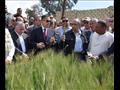 وزير الزراعة يتفقد حقول القمح الإرشادية ببني سويف (4)
