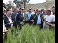 وزير الزراعة يتفقد حقول القمح الإرشادية ببني سويف (5)