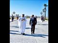 لقاء الرئيس السيسي ومحمد بن زايد (1)