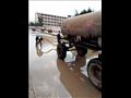 أعمال شفط مياه الأمطار من الشوارع والميادين (7)