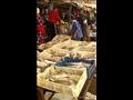 ارتفاع أسعار الأسماك في أسواق الإسكندرية قبل شم النسيم (2)