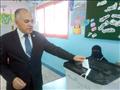 وزير الري يدلي بصوته في الاستفتاء على التعديلات ال