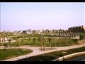 حديقة الشيخ زايد المركزية (12)