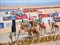 رئيس الوزراء يشهد انطلاق بطولة شرم الشيخ لـسباق الهجن (4)