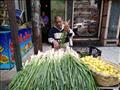 عم أحمد - يبيع البصل والليمون بالإسكندرية في انتظار عودة معاشه المنقطع (6)