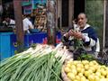 عم أحمد - يبيع البصل والليمون بالإسكندرية في انتظار عودة معاشه المنقطع (10)
