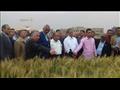 وزير الزراعة يتفقد الحقول الاسترشادية للقمح بمزرعة شندويل (2)