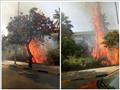 حريق مخلفات هيش في قطعة أرض بالطالبية