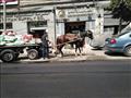بائع يسكب الماء على حصانه لتخفيف حدة الحرارة في الإسكندرية (2)