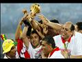 فوز مصر بكأس الأمم الأفريقية 2008