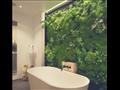 4 نباتات لديكور وتنقية الهواء في الحمام