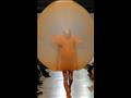 بالفيديو أغرب عرض أزياء.. الموديلز يرتدين بالونات منفوخة موضة الصيف (5)