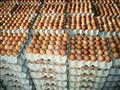 منافذ بيع البيض التابعة لوزارة الزراعة