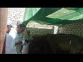 تحصين الماشية ضد الحمى القلاعية بالإسكندرية (3)