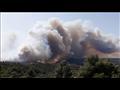 حرائق الغابات في اسبانيا بسبب الحر