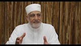 الدكتور نصر فريد
