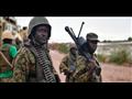 القوات الحكومية الصومالية