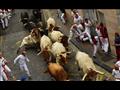 مهرجانات ركض الثيران في اسبانيا