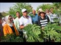 الوادي الجديد تفتح مشروع المورينجا وتخصص 50 فدانا لزراعتها  (4)