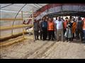 الوادي الجديد تفتح مشروع المورينجا وتخصص 50 فدانا لزراعتها  (7)