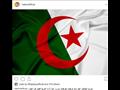تعليقات الفنانين على فوز الجزائر بأمم أفريقيا (7)