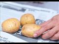 منعًا للبراعم والعفن.. إليك الطريقة الصحيحة لتخزين البطاطس  (4)