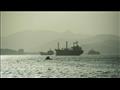 كوريا الشمالية تفرج عن سفينة الصيد الروسية المحتجز