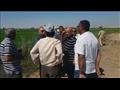 إزالة 32 فدان أرز مخالف بقرية قصر الباسل بالفيوم (1)